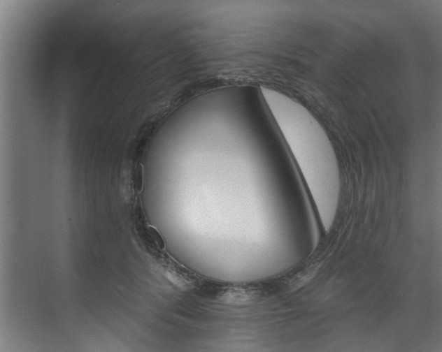 X0000074280416200608250941