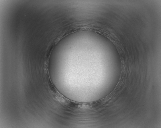 X0000074280419200608250941