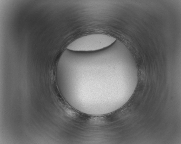X0000074280422200608250941