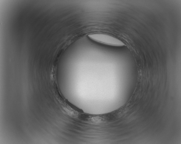 X0000074280423200608250941
