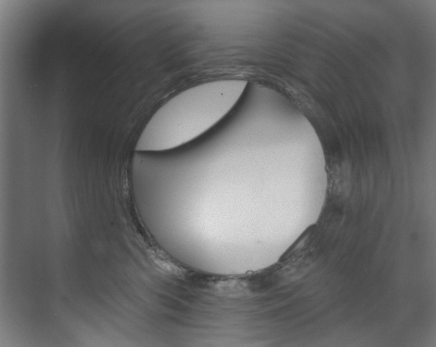 X0000074280426200608250941