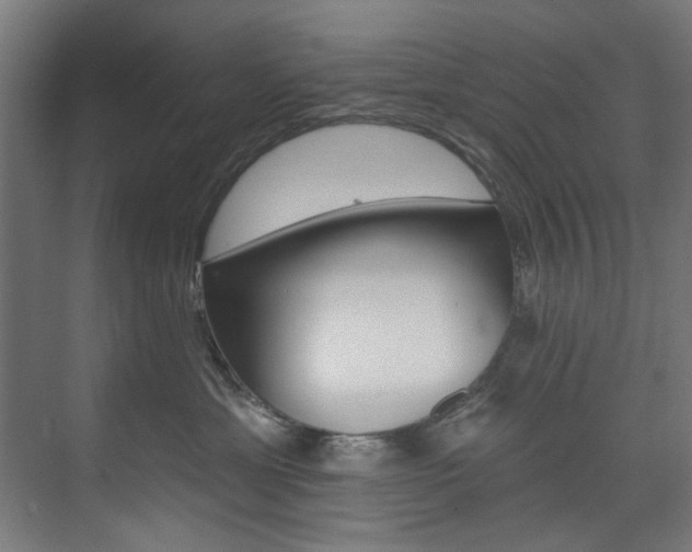 X0000074280429200608250941