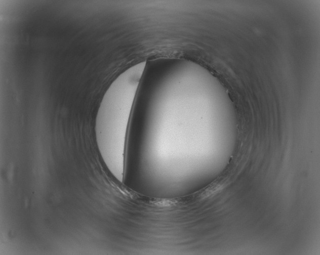 X0000074280432200608250941