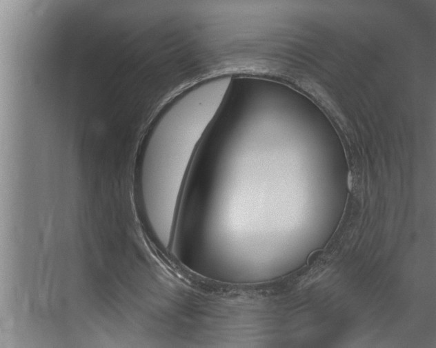 X0000074280434200608250940