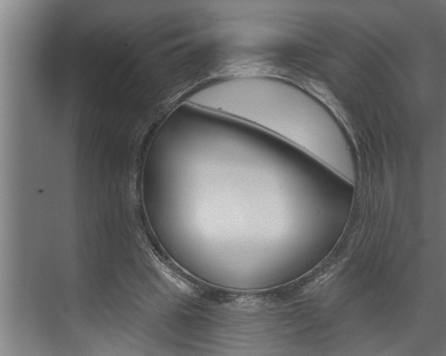 X0000074280441200608250940