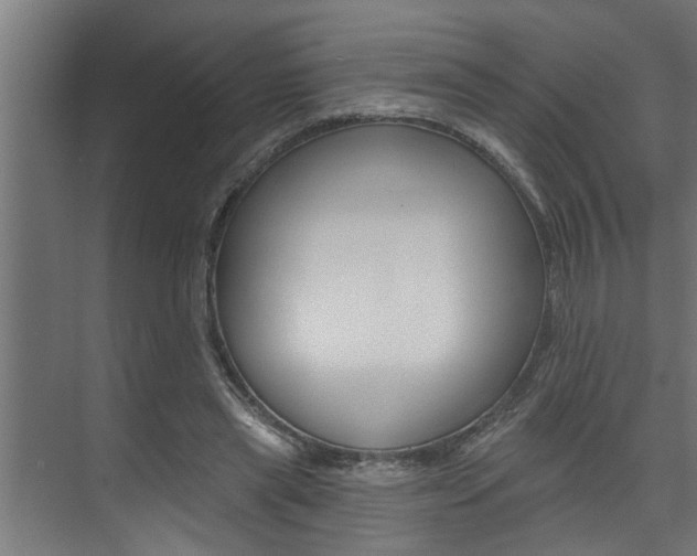 X0000074280445200608250940