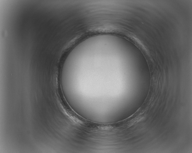 X0000074280446200608250940
