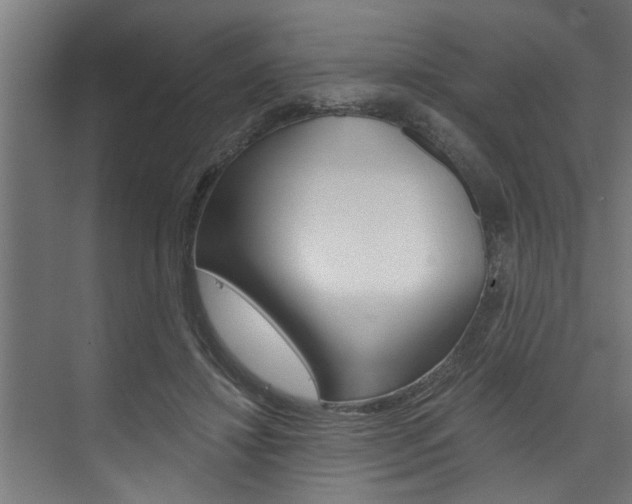 X0000074280452200608250940