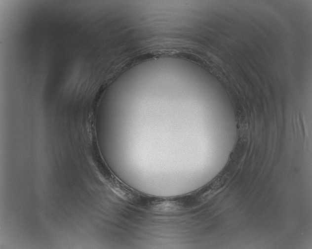 X0000074280460200608250940