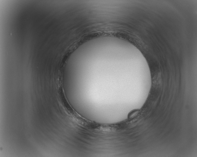 X0000074280464200608250940