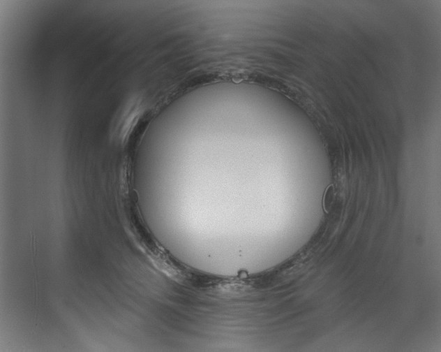 X0000074280468200608250940