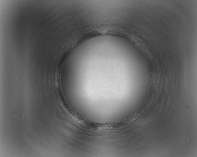X0000074280470200608250940