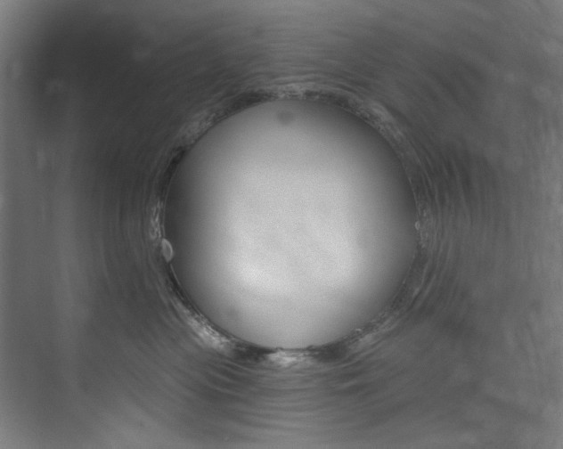 X0000074280477200608250941