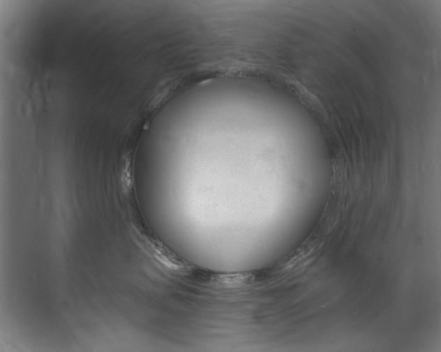 X0000074280479200608250941