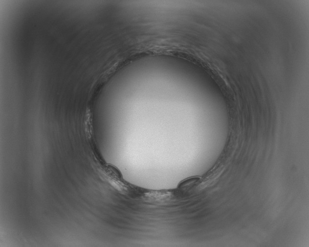 X0000074280480200608250941