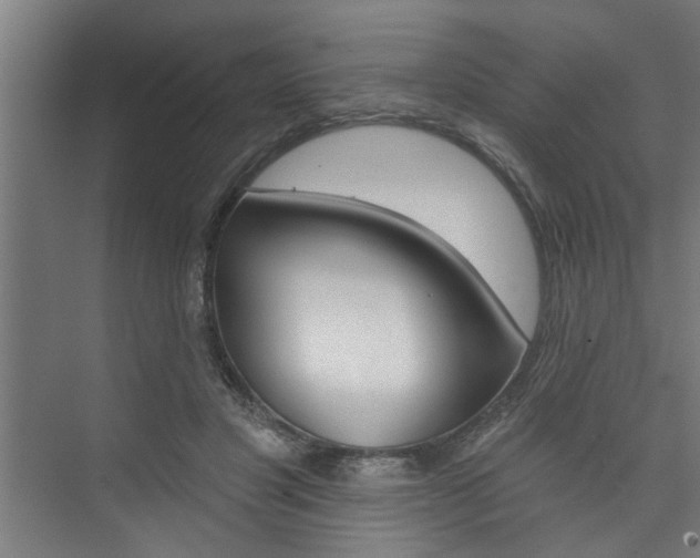 X0000074280501200608250939