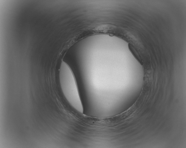 X0000074280504200608250939