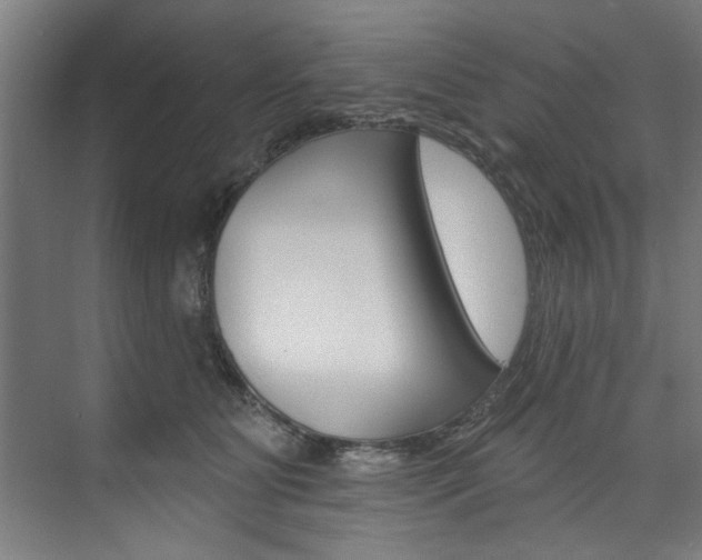 X0000074280515200608250939