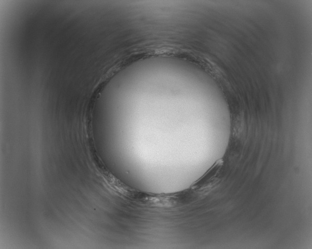 X0000074280524200608250939