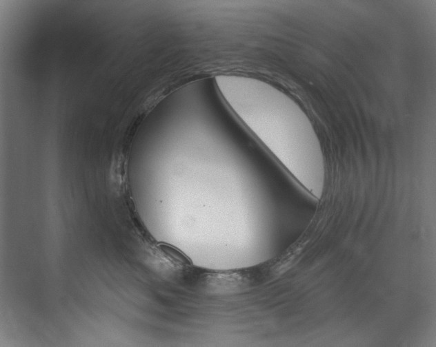X0000074280525200608250939