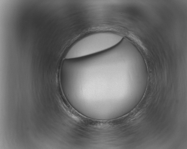 X0000074280537200608250938