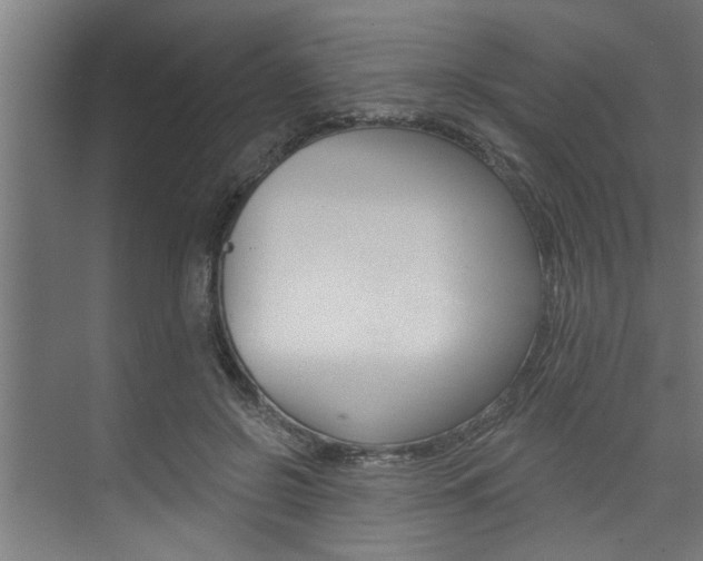 X0000074280550200608250939