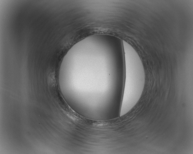 X0000074280564200608250939