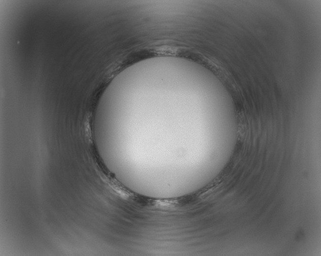 X0000074280573200608250939