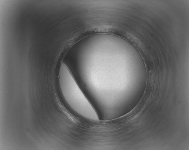 X0000074280589200608250938