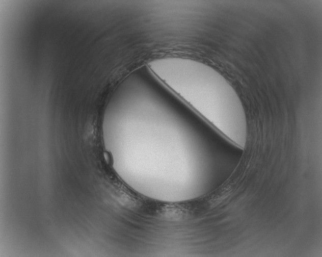 X0000074280608200608250938