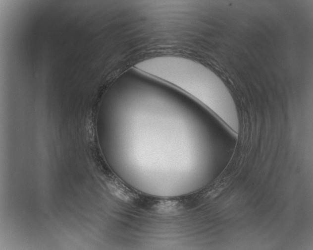 X0000074280609200608250938