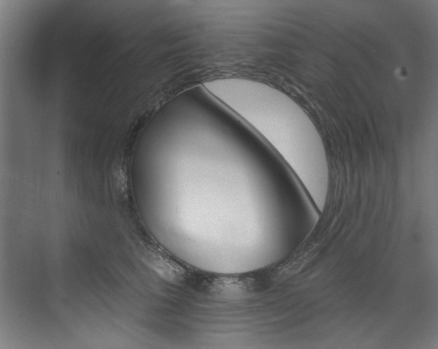 X0000074280613200608250938