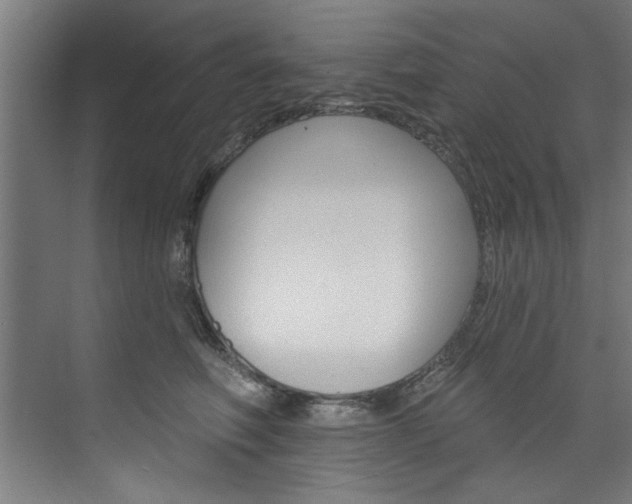 X0000074280614200608250938