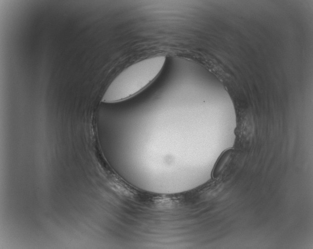 X0000074280616200608250937