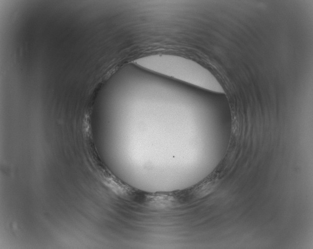 X0000074280621200608250937