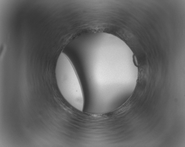 X0000074280623200608250937