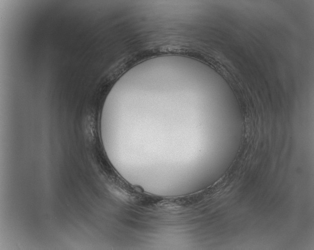 X0000074280648200608250937