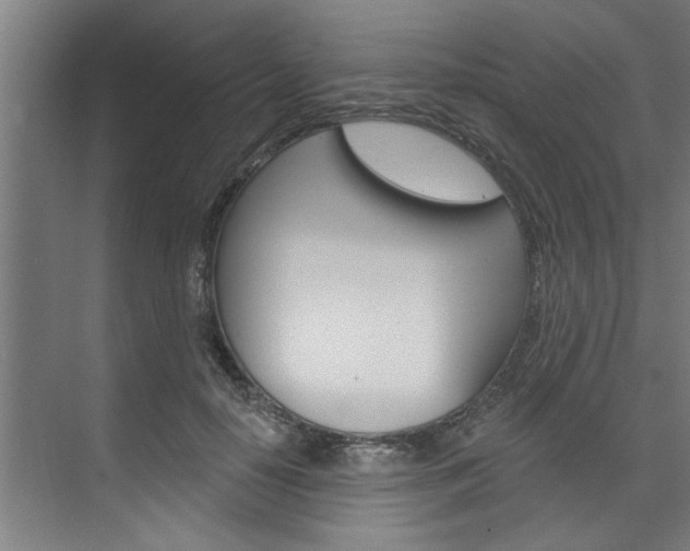 X0000074280650200608250937