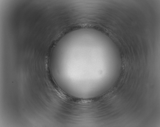 X0000074280664200608250937