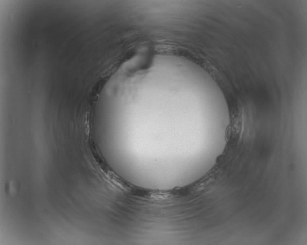 X0000074280666200608250937