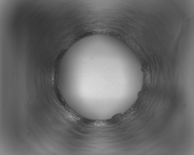 X0000074280668200608250937