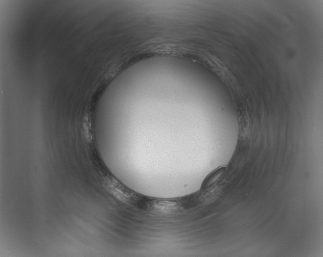 X0000074280669200608250937