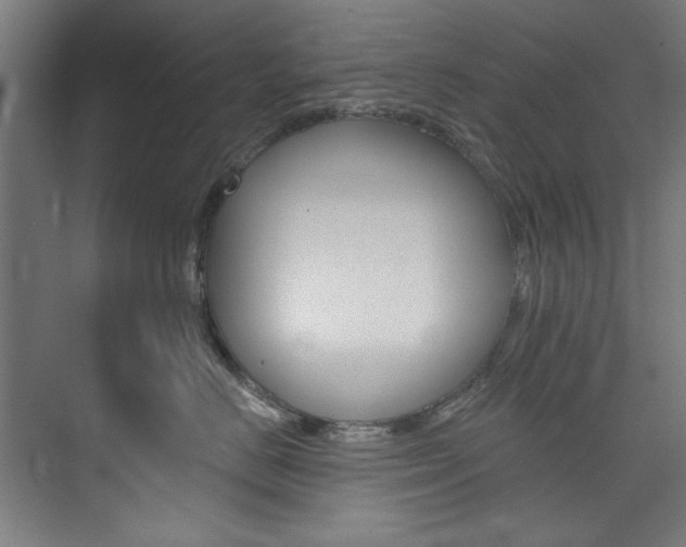 X0000074280670200608250937