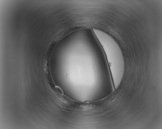 X0000074280693200608250936