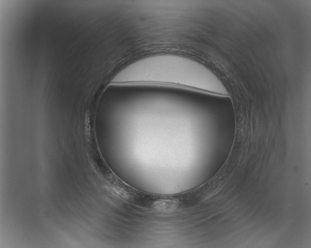 X0000074280700200608250936