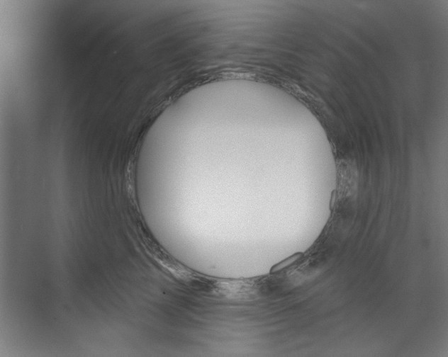 X0000074280713200608250936