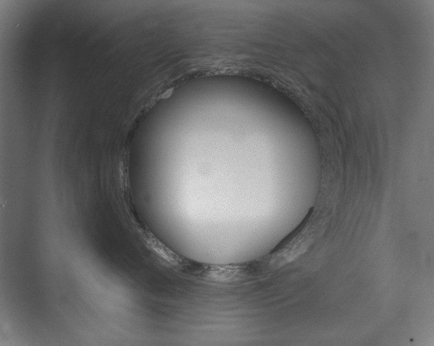 X0000074280720200608250936