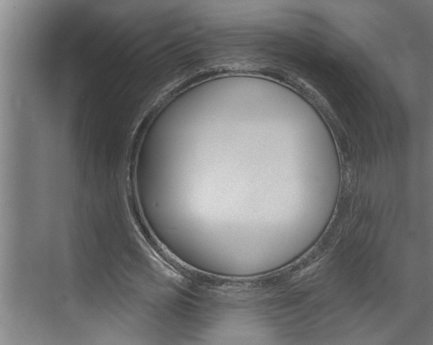 X0000074280725200608250935