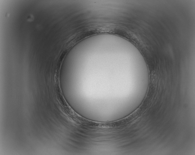X0000074280741200608250935