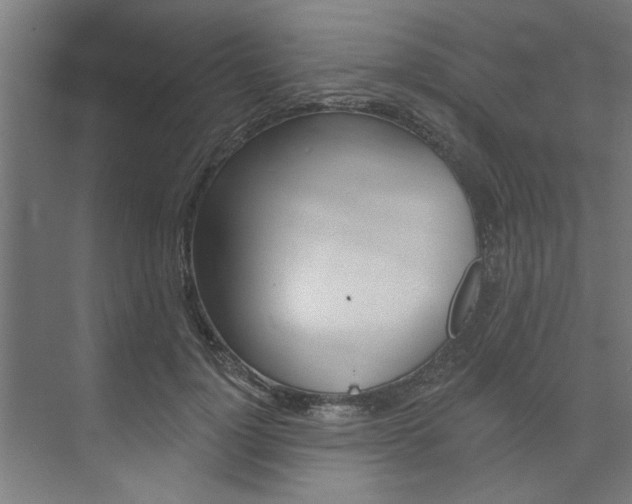 X0000074280748200608250935
